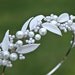 Tiara of pearls and vintage glass leaves, bridal headpiece