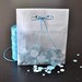 3.25 x 5.25 Small Glassine Bags Set of 25