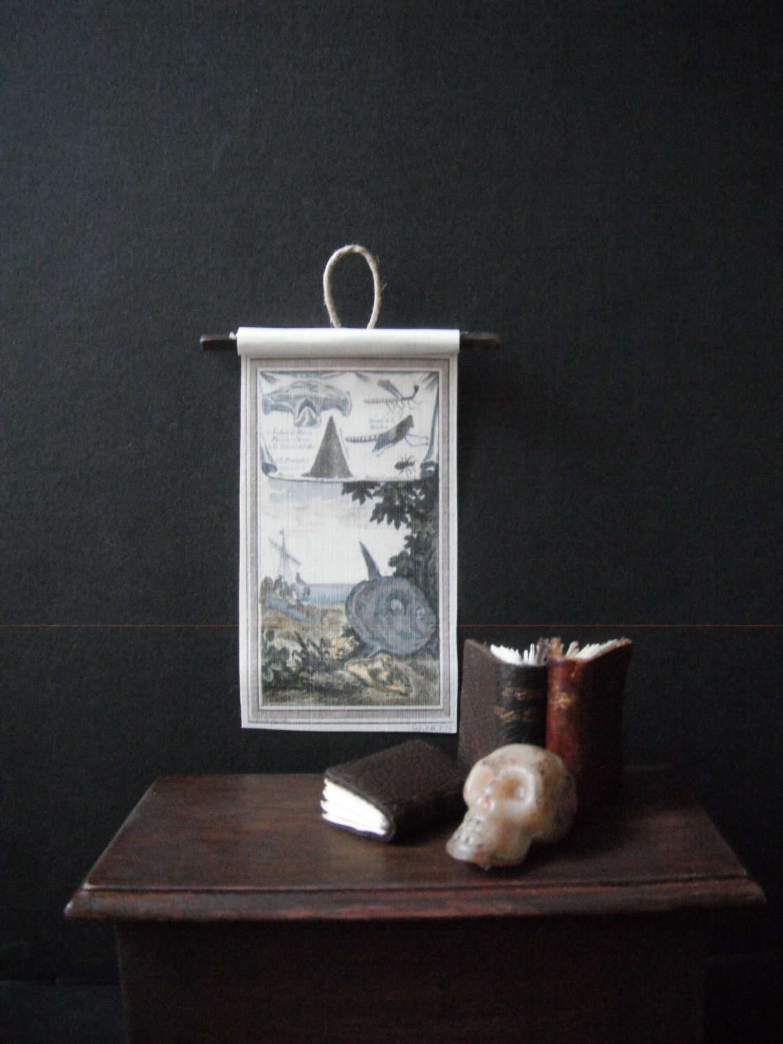 Miniature Natural History Chart --- Beach Life