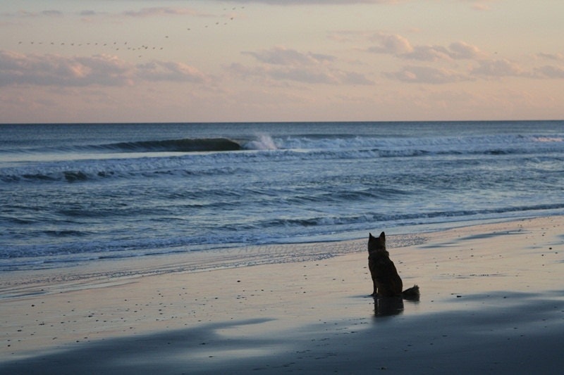 Intent 11x17 Photograph