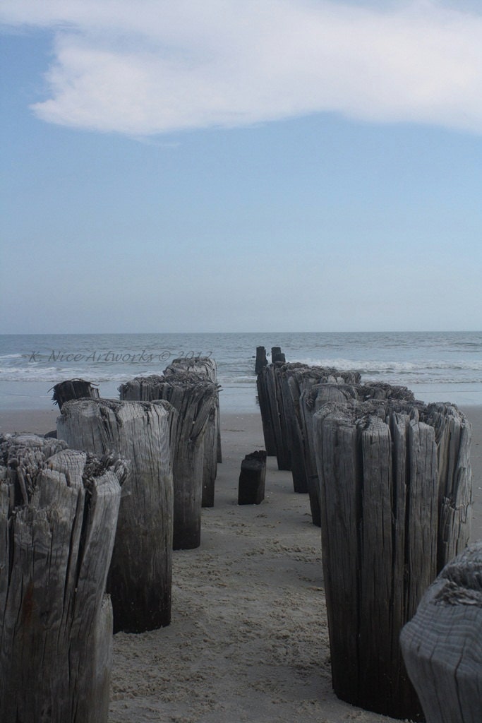 Remnant 11x17 Photograph