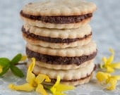 Chocolate Ganache Filled Vanilla Bean Sandwich Cookies - 1 dozen