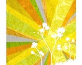 Sunrays