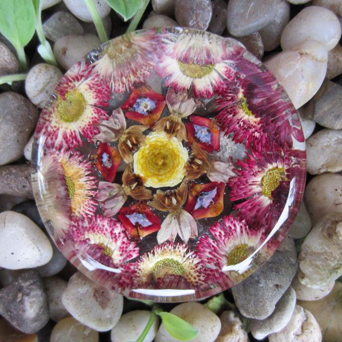 Paperweight ,Kaleidoscope pattern.  Pressed flowers ,petals and seeds behind 2.5 inch glass round.