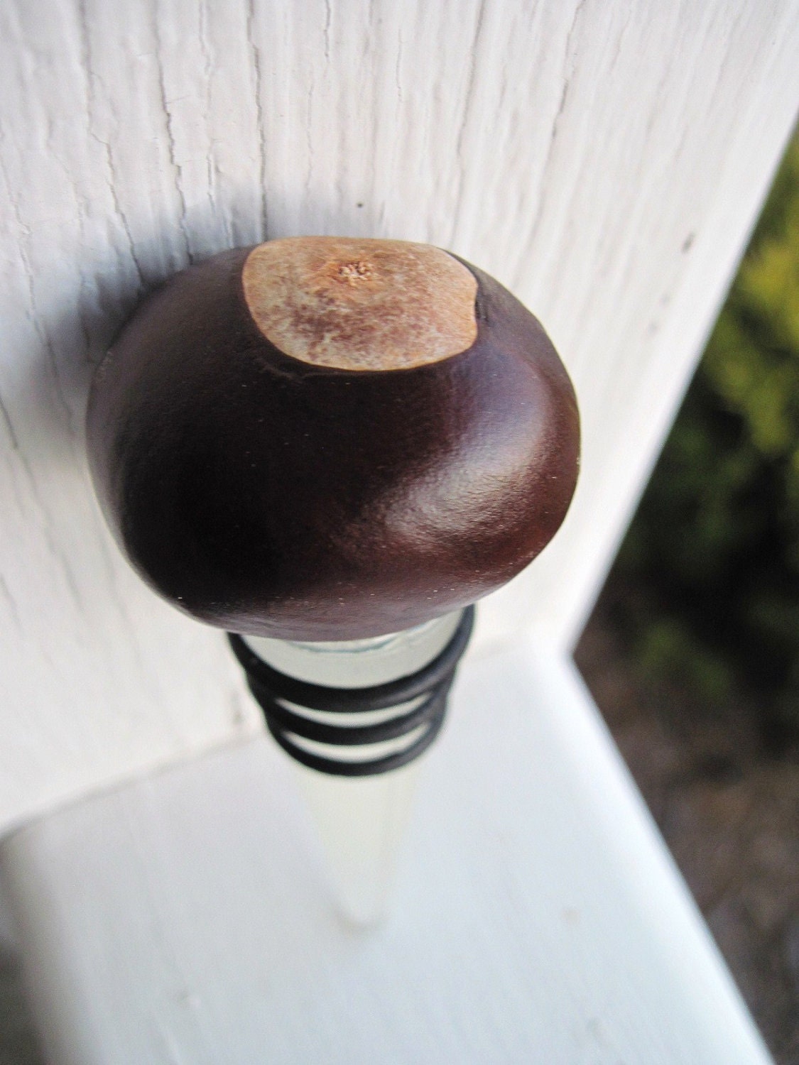 Buckeye Wine Bottle Stopper/ Bottle cork
