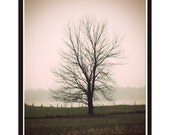 Tree No. 1 - 8x10 Original Signed Fine Art Photograph - Ready to Ship