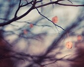 autumn fall nature photograph / gloomy, blue, purple, blur, leaf, leaves, foliage, branch, tree / watercolor / 8x10 fine art photo