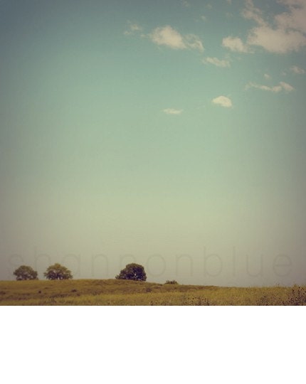 summer meadow nature photograph / blue sky, nostalgic, retro, field, trees, negative space / open / 8x8 fine art photo
