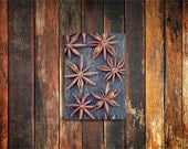 star anise spice photo magnet / kitchen decor, fine art photograph, star, brown, holiday, christmas, snowflake