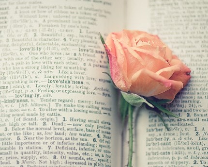 book love rose photograph / flower, text, print, rose, pink, peach, apricot, valentine, still life / lovesickness / 8x10 fine art photo