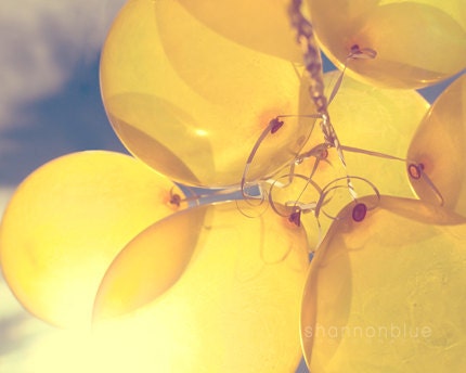 yellow balloon photograph / sunny, lemon yellow, blue sky, birthday, party, sun / shine through / 8x10 fine art photo