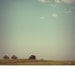 summer meadow nature photograph / blue sky, nostalgic, retro, field, trees, negative space / open / 8x8 fine art photo