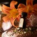 Bollywood - natural perfume oil