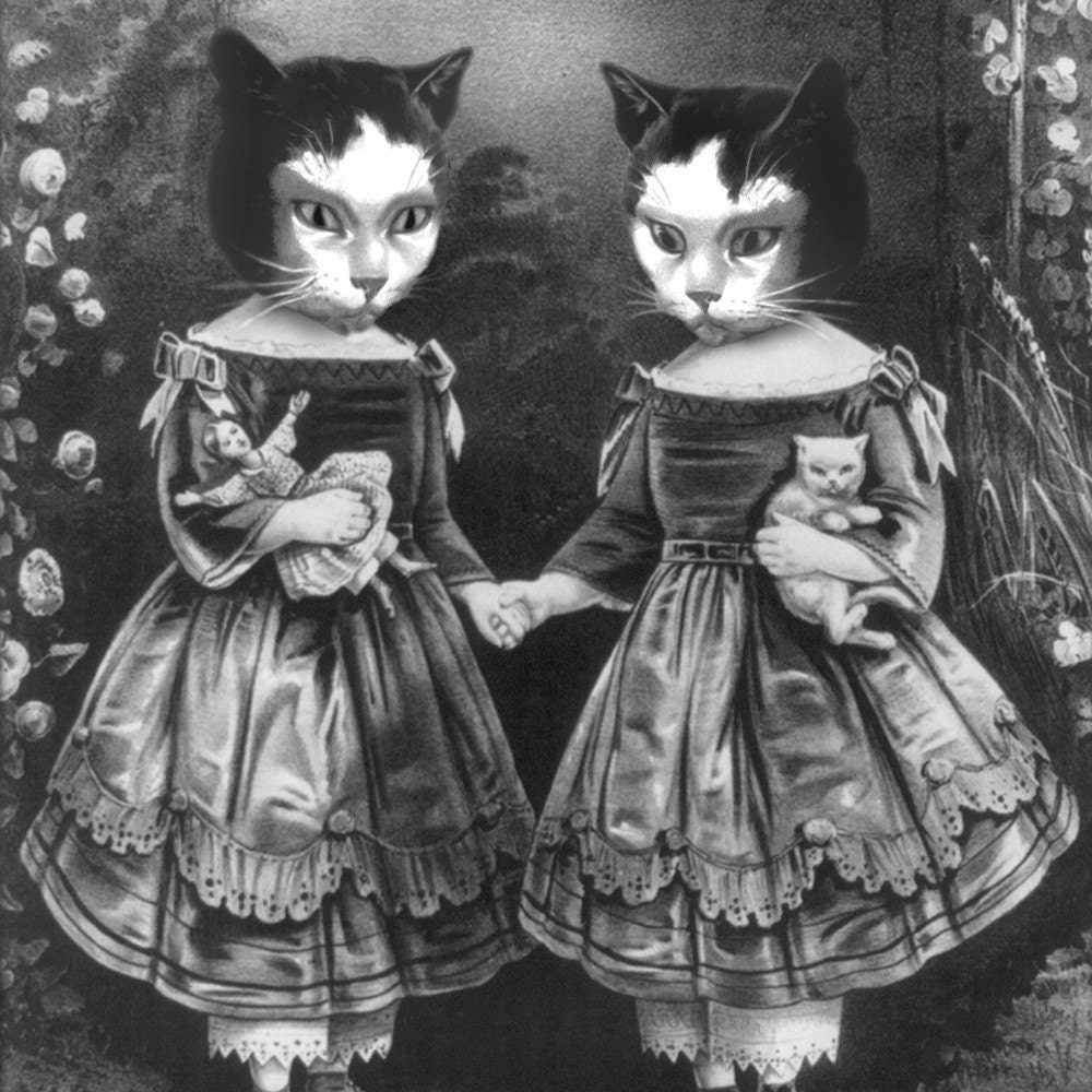 5x7 The Catsby twins - Archival Print