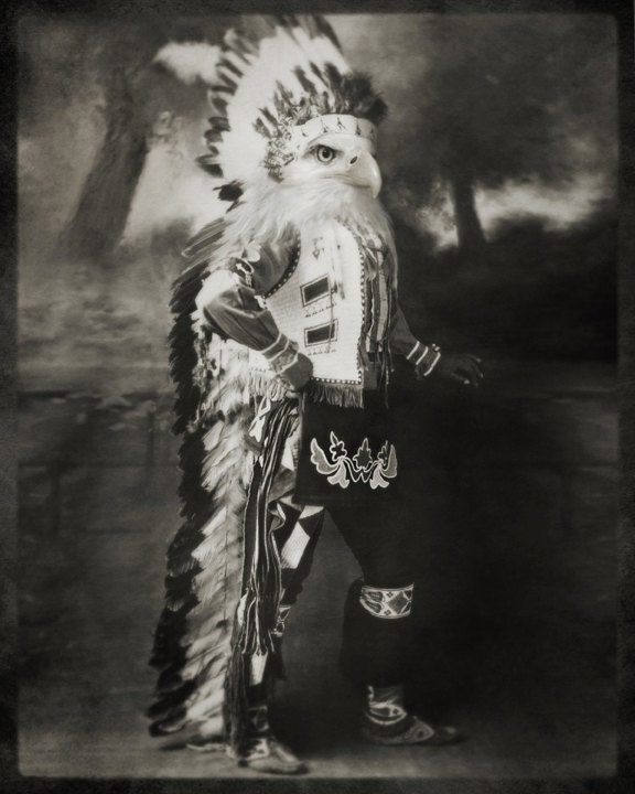 8x10 Chief Shikoba Featherbeard - Eagle Photographic Art Print