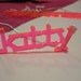 Custom Acrylic Nameplate Necklace - 4 Fonts - 18 Colors