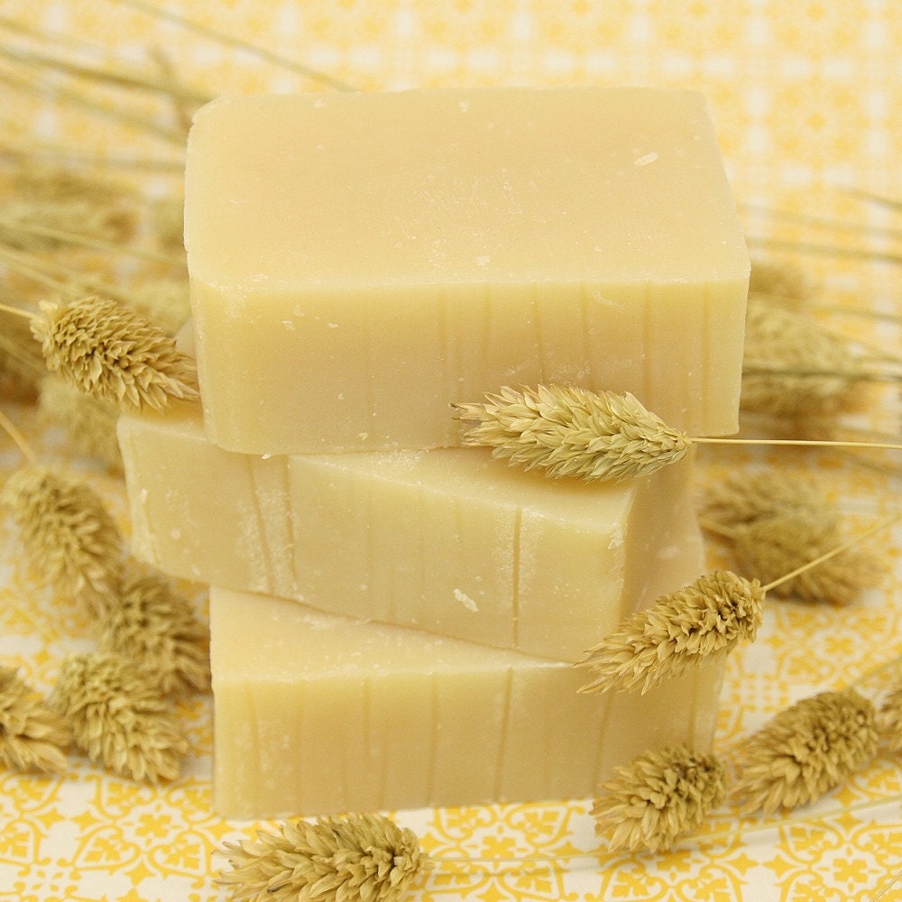 Don't Sweat It Deodorant Body Soap