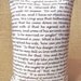 Pride and Prejudice Chapter One - Jane Austen Bookends - Shelf Pillows