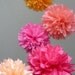 Summer Sorbet ... tissue paper pom mobile // nursery decoration