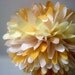Dulce de Leche... 1 tissue paper pom // wedding reception // birthday party // baby shower // party decorations