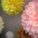 Custom Colors ... 10 tissue paper poms // wedding reception // diy  // birthday party // anniversary // party decorations