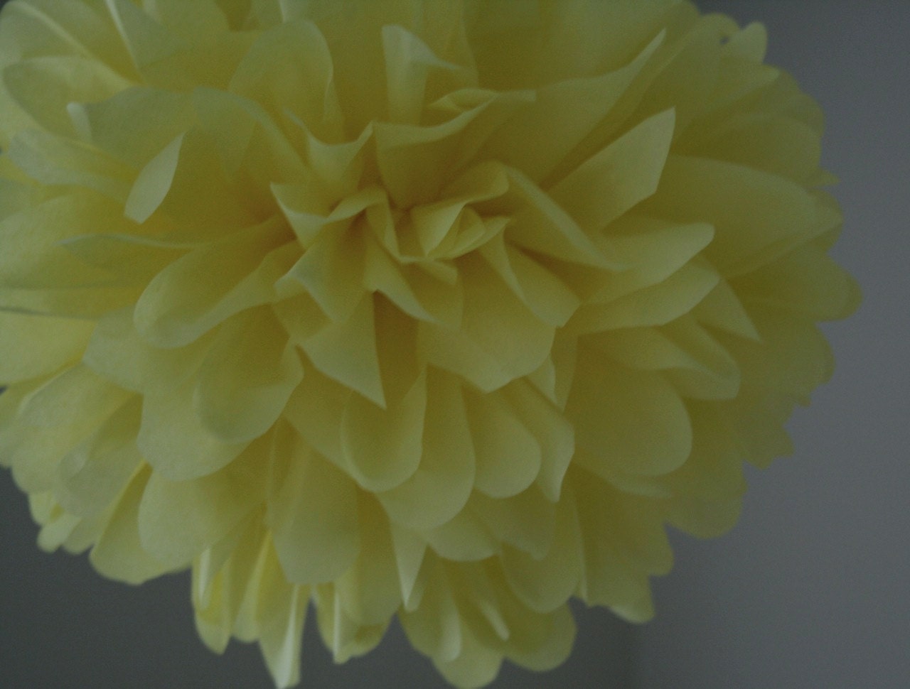 Pale Yellow ... 1 tissue paper pom // diy // wedding decorations // indie // birthday party // classroom decoration