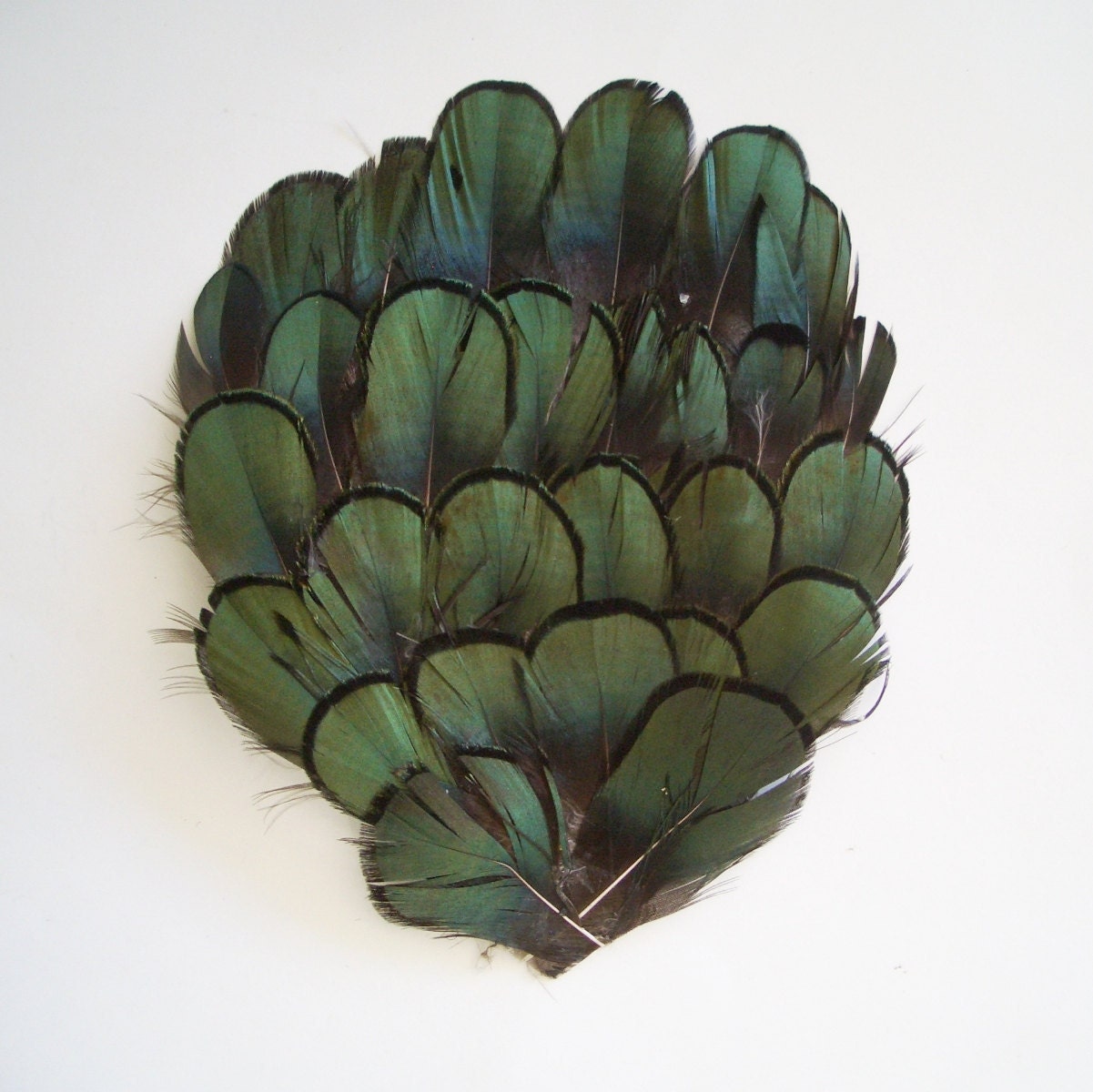 1 Import Green Lady Amherst Feather Pad