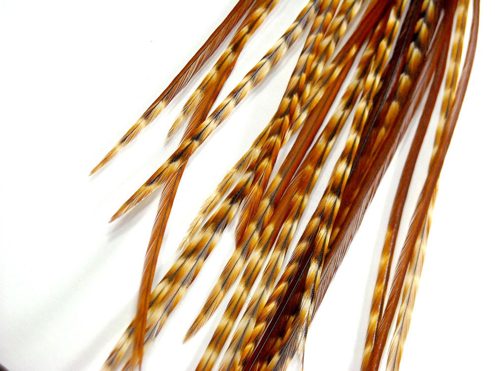 10 Ginger Grizzly Variant Feather Extensions, 6-7" Tiger Stripes - intrinsicimagination