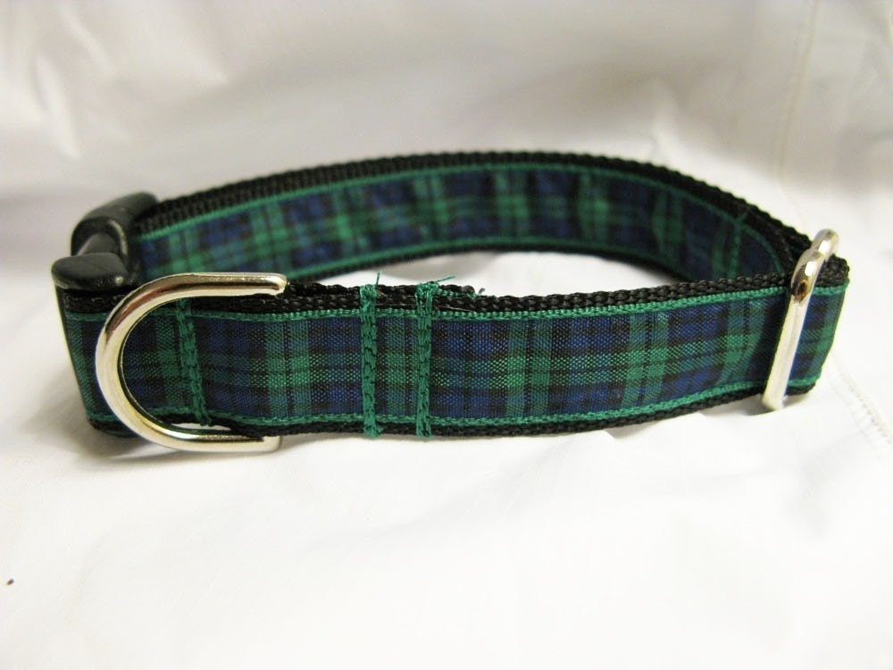 Black Watch Tartan dog collar