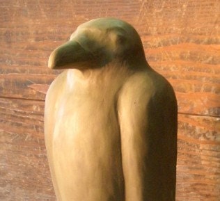 corvino