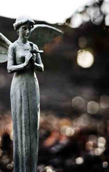 Winter Garden Angel 8x12 Digital Print