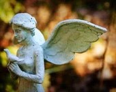 Garden Angel 8x12 Digital Print