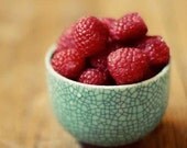 Raspberries on Turquoise 8x12 digital print