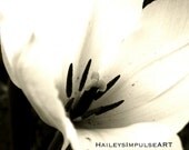 8x10 Matte Forsaken Tulip signed print