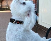 Dog Collar Tutorial PLUS Video and BONUS--Make it Yourself, Instructional EBook