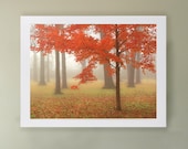 32x24 Autumn Mist Large Art Print.  Autumn landscape during a misty morning strolling through the woods.