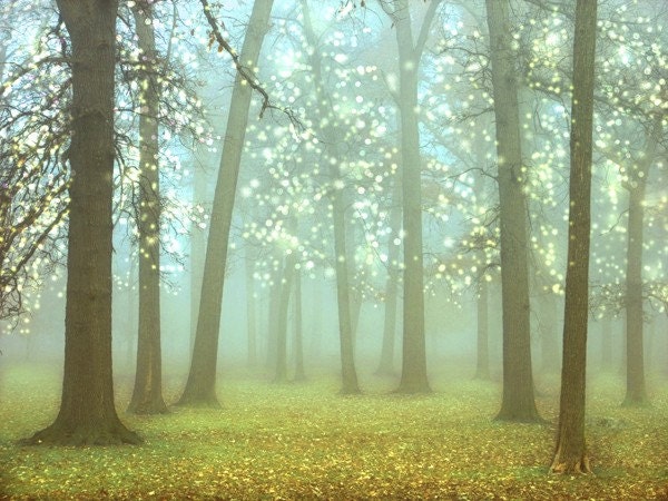 Wonderland Landscape Photography 8x10.  Turquoise, sparkling trees, kids room decor, woodland, forest photography.