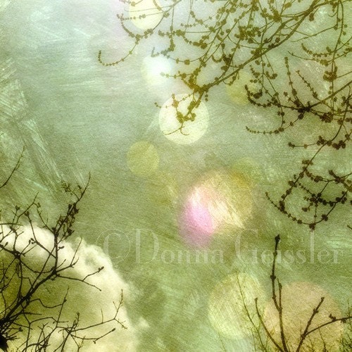 A New Day - Art Print 8x8. Tree photography, seafoam green sky, sunbursts, cloud photography.