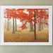 32x24 Autumn Mist Large Art Print.  Autumn landscape during a misty morning strolling through the woods.