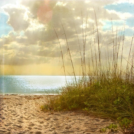 Beach Dreams III - Art Print 8x8. Beach photography, landscape photography, sand grass, sunset, blue ocean, florida.