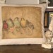 Rainbow of French Birds Postcard Bird Throw Pillow