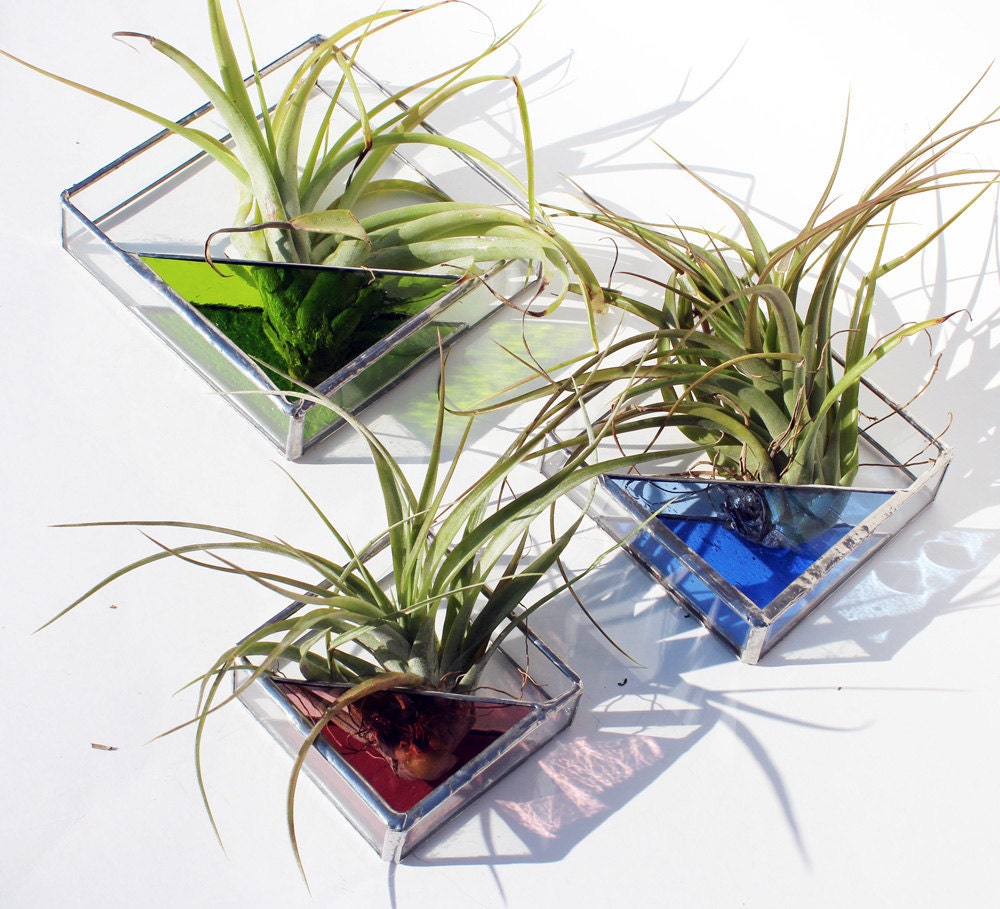 3 Stained Glass Air Plant Holders - Sconce - 3 Sizes - Simple, Geometric, Modern - Choose your Color