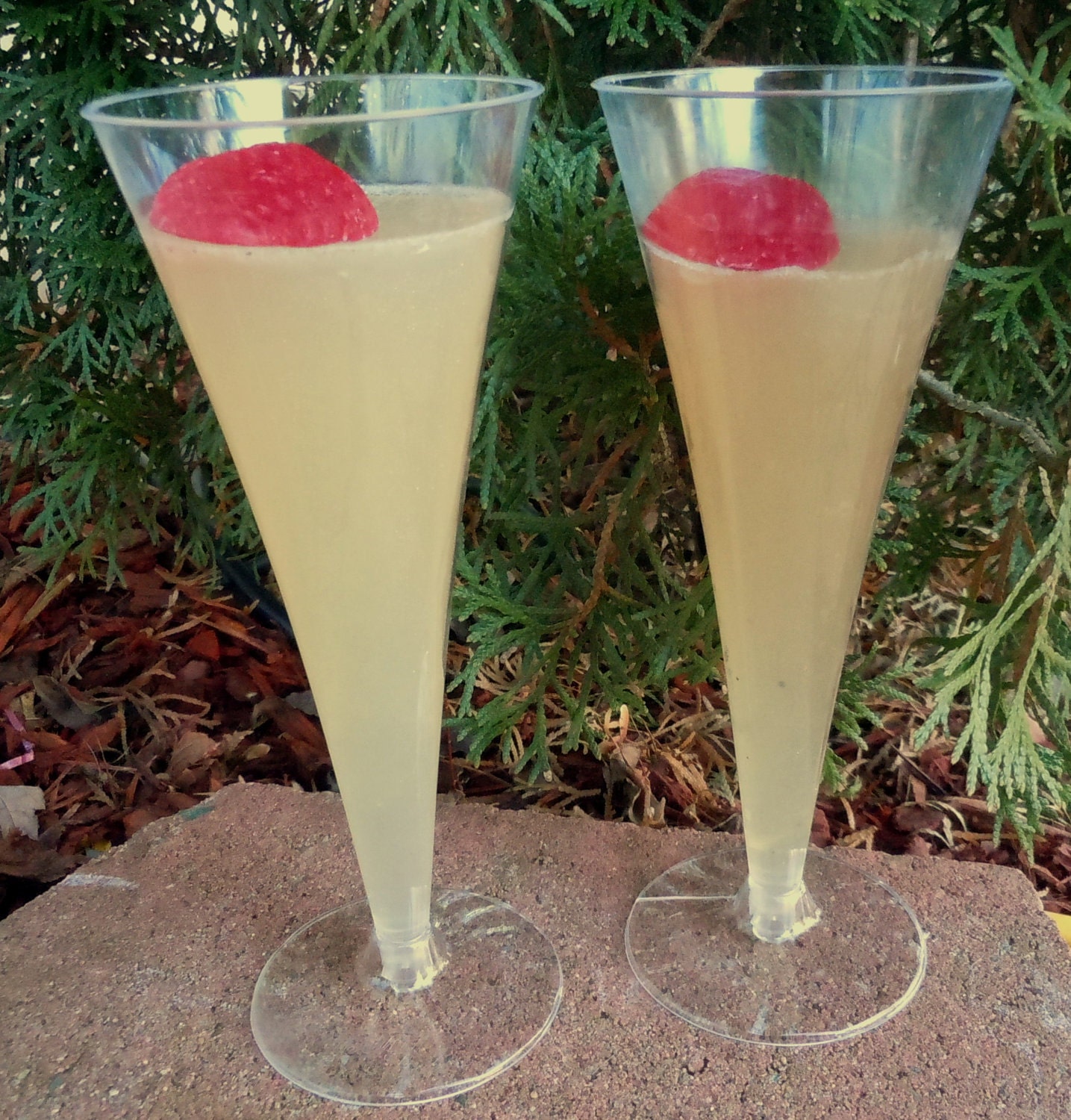 Champagne Soap - A Toast to Love
