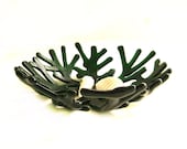 Forest Green Decorative Ocean Beach Sea Coral Bowl