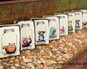 All 16 Mason Jar Critters (The Whole Set)