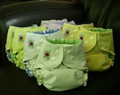 10 BumJoy One Size Pocket Diapers with 10 Inserts