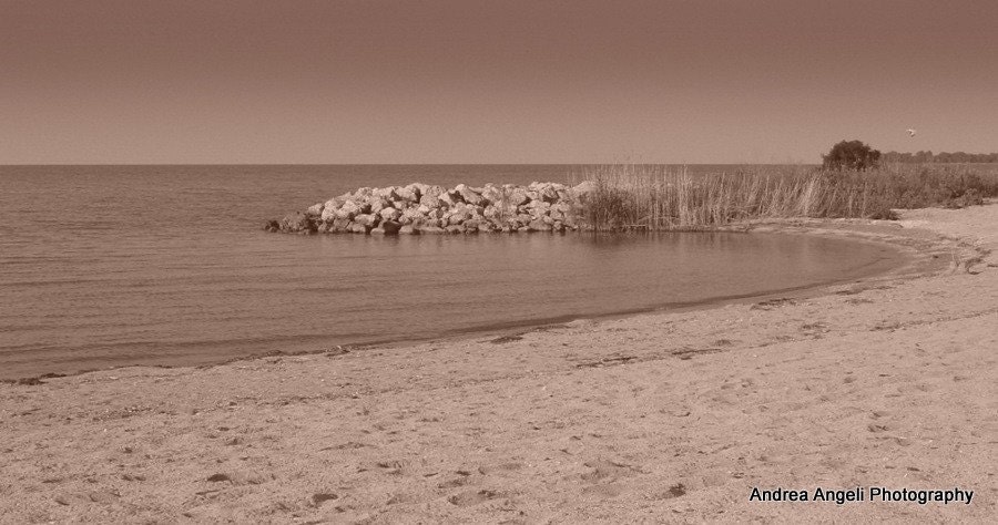 Sepia beach. Fine art photo. Matted.
