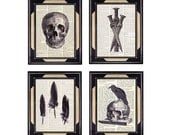 GOTHIC Collection human skull crow black feather daggers art prints vintage book page art print dictionary print black white  8x10