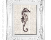 SEAHORSE art print natural science marine sea life animal vintage dictionary print book page black white 8x10
