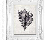 SEA SHELL vintage art print natural science dictionary art print book page wall art decor black white 8x10
